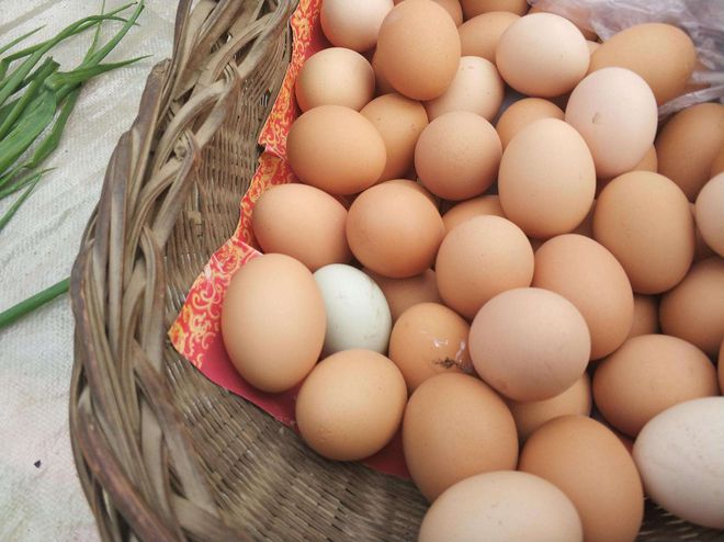 原来刘强东线月开始传统实体的春天来临了(图2) 原来刘强东线月开始传统实体的春天来临了(图2)