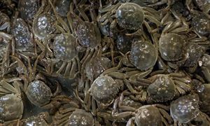 2022年中九游网站国跑步机市场需求分析(图4)