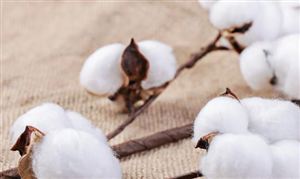 跑步机行业供需格局及市场投资前景分析(图6)