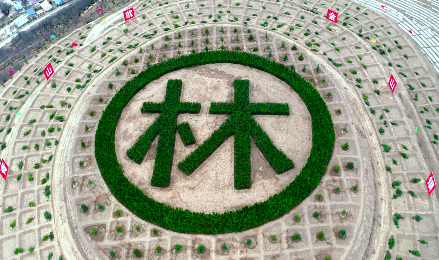 甘肃静宁：异地搬迁拔穷根 绿染大地绘锦绣(图3)