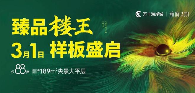 2024万丰海岸城瀚府二期-万丰海岸城瀚府二期楼盘详情最新房价(图14)