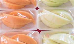 跑步呈现细分九游体育多元化 跑步机行业发展现状分析(图2)