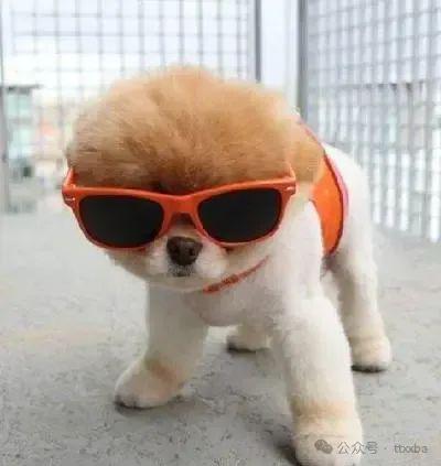 经典搞笑九游体育糗事冷笑话爆笑经典糗事搞笑笑话(图1)