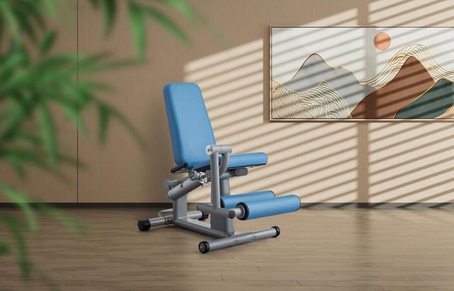 舒华体育主笔的国家标准《健身器材适老化通用九游体育要求》顺利通过审查(图2)