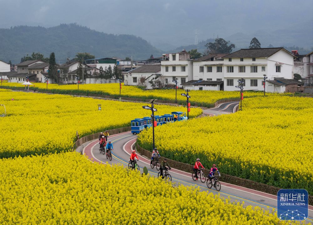 影像见证中华人民共和国成立75年体育辉煌九游体育(图4)